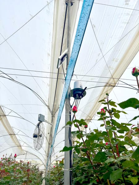 GrowSphere™ ONE: Unidad de Monitoreo Autónomo en Floricultura