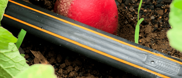 ReGen™ Productos sustentables