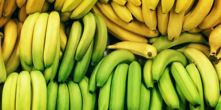 Produce más banano con riego tecnificado