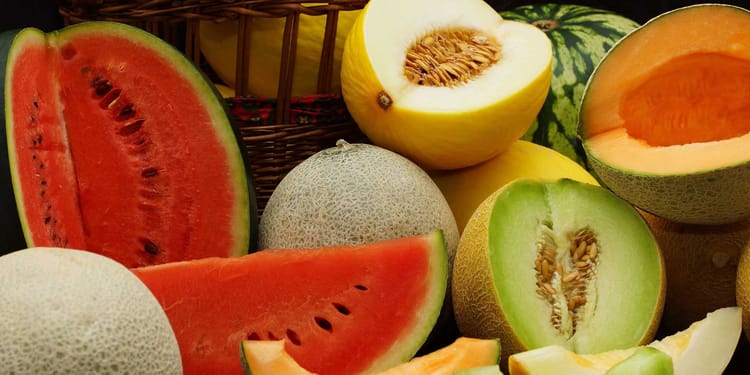 Asegura uniformidad, ahorro y calidad superior en melón y sandía