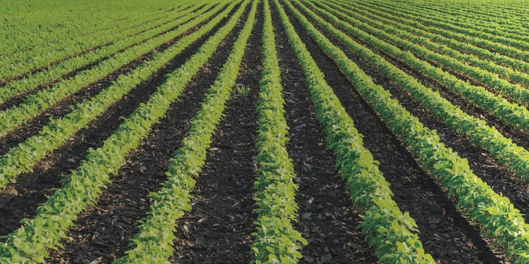 Soluciones de riego de precisión para cultivos de campo abierto