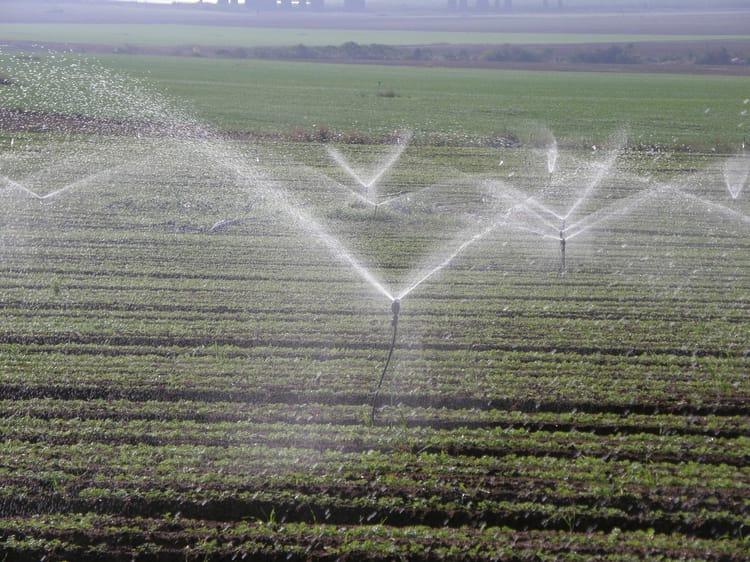 MegaNet 24D in the field