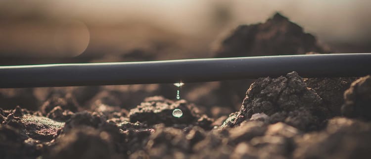 BLOG DE NOTICIAS NETAFIM CECA