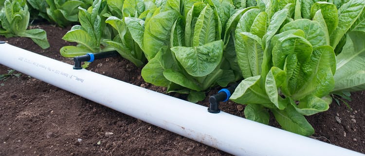 Tubería flexible para riego de precisión 