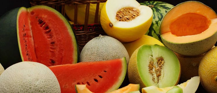 Asegura uniformidad, ahorro y calidad superior en melón y sandía