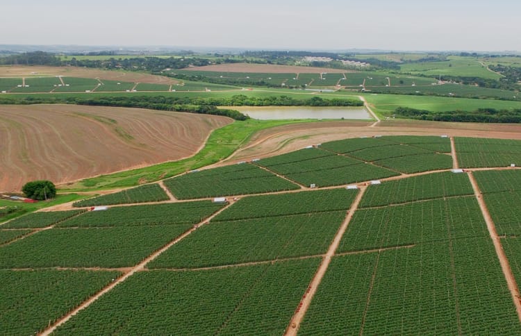 Incrementa tu éxito