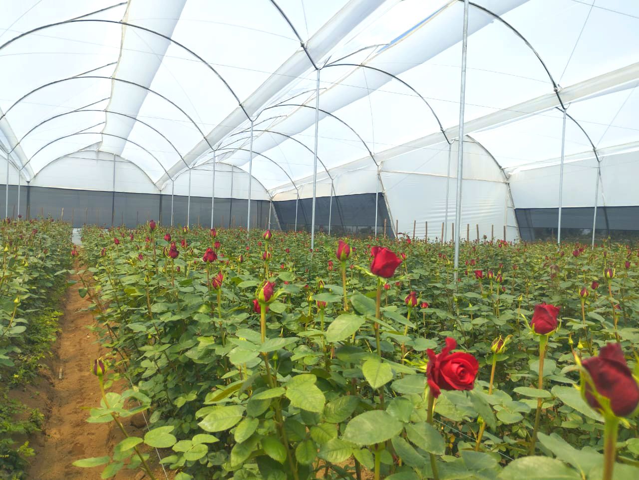 Ahorro de recursos y sostenibilidad