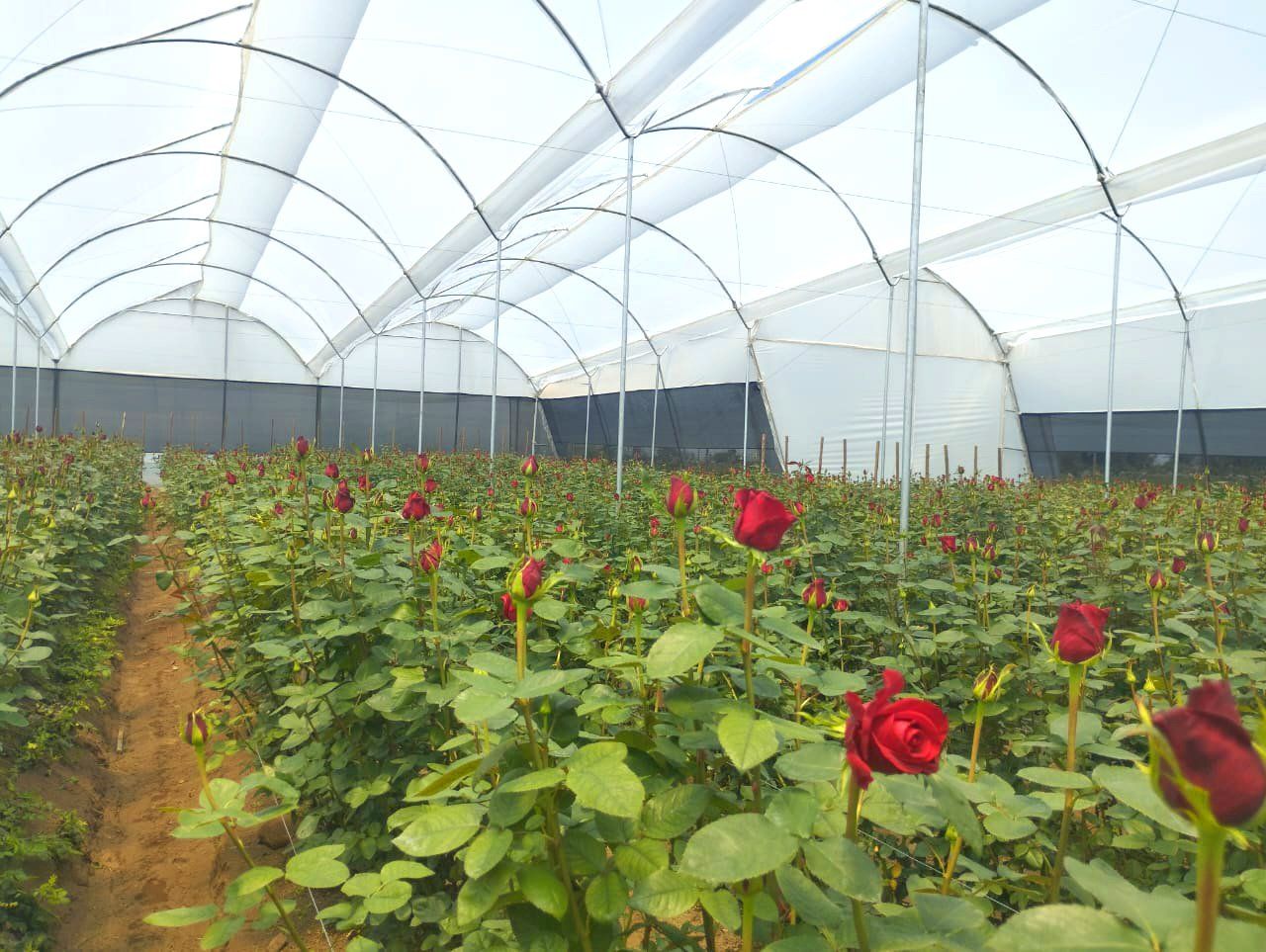 Ahorro de recursos y sostenibilidad