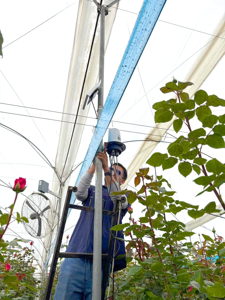 Automatización y control del ambiente radicular