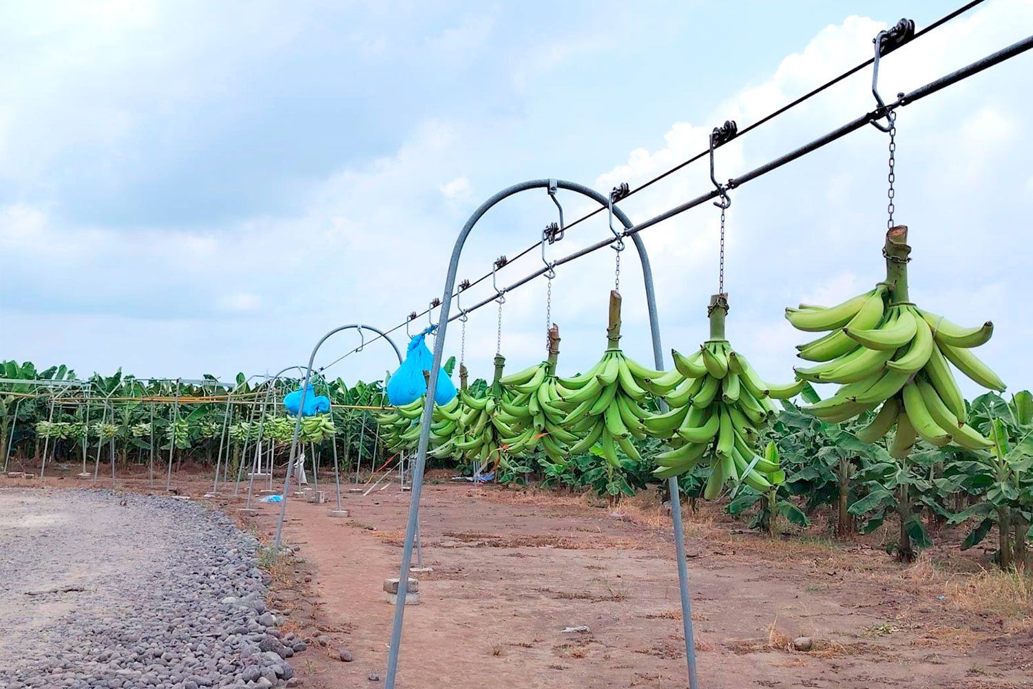 Reducción de mano de obra