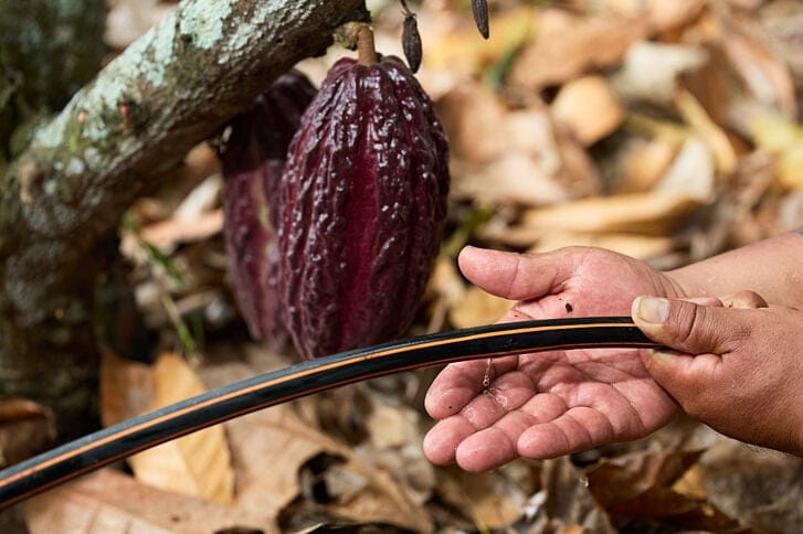 Uso eficiente del agua y fertilizantes