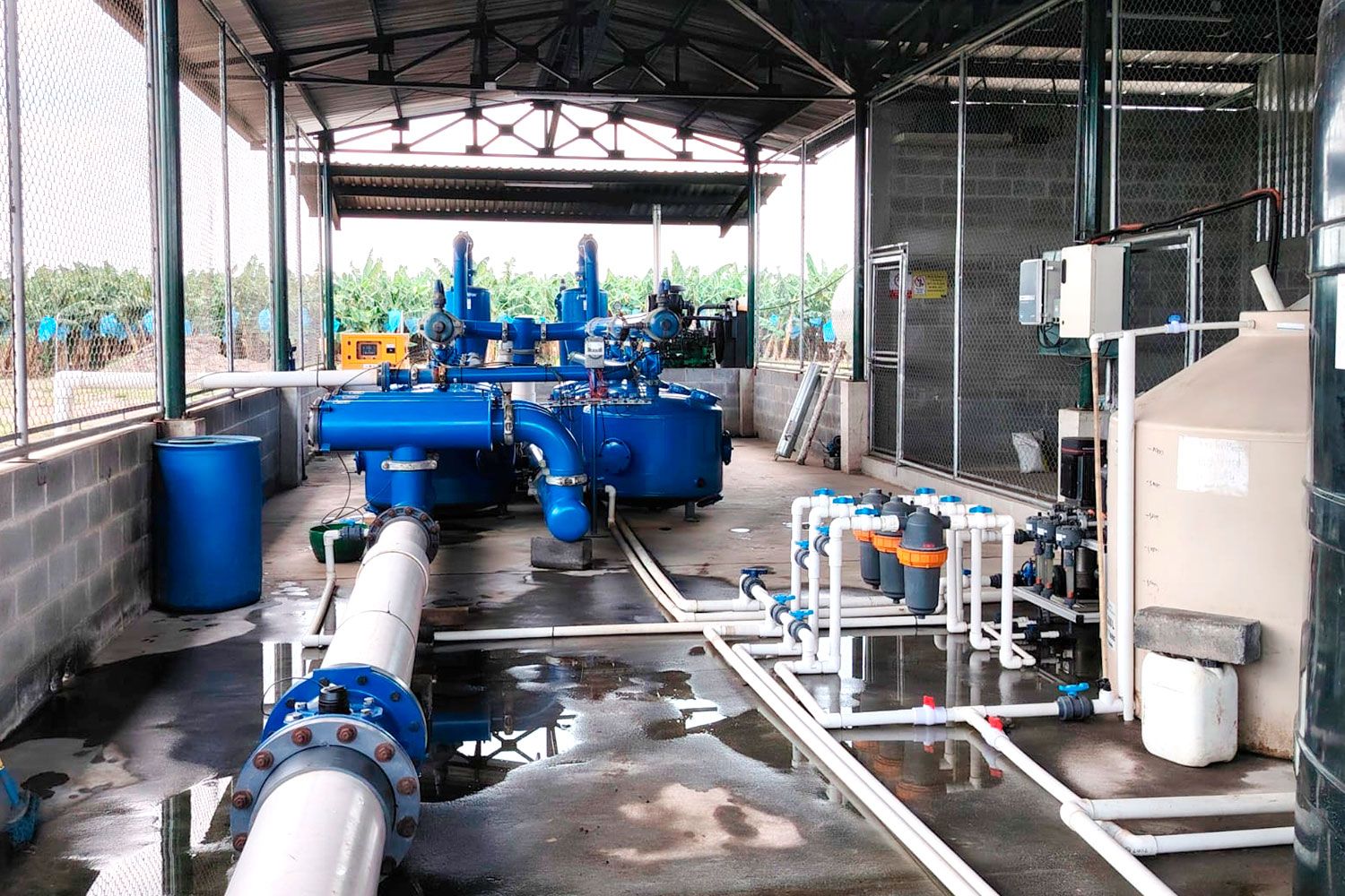 Fertirrigación precisa 