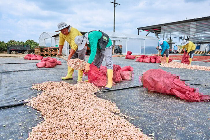Rentabilidad y sostenibilidad a largo plazo