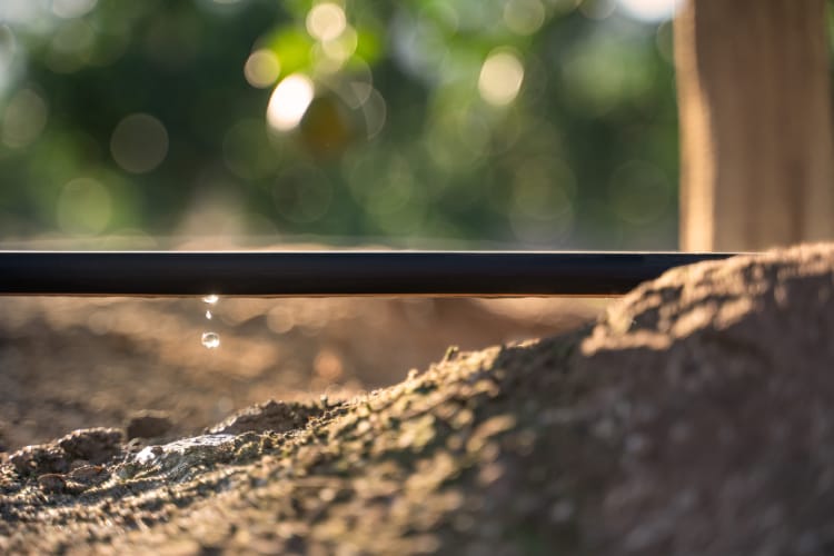 Eficiencia en el uso de agua