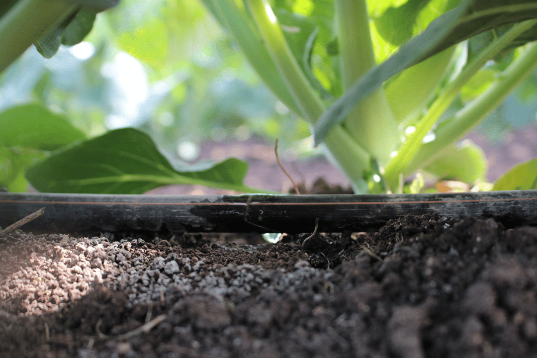 Convierte el monitoreo en acciones de riego sin problemas 